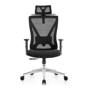 Korean D18 Ergonomic Office Chair (Black) (1 Year Warranty)