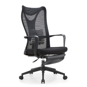 Premium X21N Bionic Spine Support Chair Nylon Base (w/ Footrest) (Black)