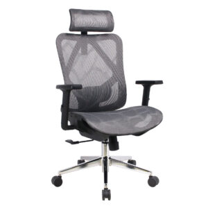 Deluxe-D57 XTM Full Mesh / D57FT XTM Full Mesh with Footrest Chair without Seat Slide Chrome Base (Black, Grey) 1 Year Warranty