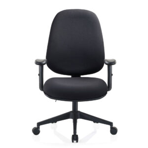 Deluxe-A09 Typist 1D Armrest Mid Back Office Chair (Black)