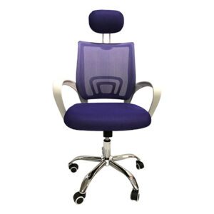 Deluxe-5H High Back Mesh Chair (Purple)