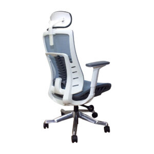 XTM Premium X25 Bionic Spine Support (w/ Seat Slide) (Blue, Grey, Black) (2 Years Warranty)