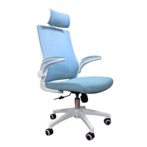 Deluxe-31 Mid Back/ Deluxe-31H High Back Mesh Office Chair (Black, White, Blue, Grey)