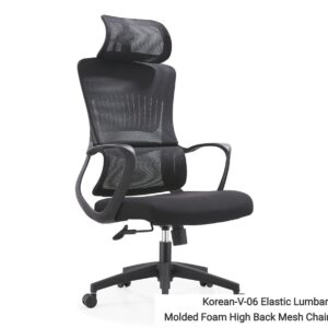 Korean-V06 Elastic Lumbar Support Molded Foam High Back Mesh Chair (Black, Grey)